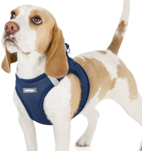 rabbitgoo Hundegeschirr Kleine Hunde, Step-in Weiches Mesh, Marineblau | Einfach anzulegen, Atmungsaktiv & Reflektierend, Ausbruchsicher mit Sicherheitsverschluss für Kleine Mittlere Hunde Gassi, M