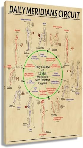 Poster Con Diagramma Dei Meridiani, Stampe Artistiche Mediche Vintage Da Parete, Stampa Artistica Su Tela Con Organi Del Corpo Umano, Per Decorazioni Murali Del Soggiorno, 40X60 Cm