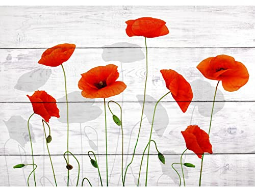 Runa Art Papel tapiz fotográfico amapolas madera 352 x 250 cm Lana Fondo De Pantalla XXL Moderna Decoración De Pared Sala Cuarto Oficina Salón Blanco rojo 9390011b