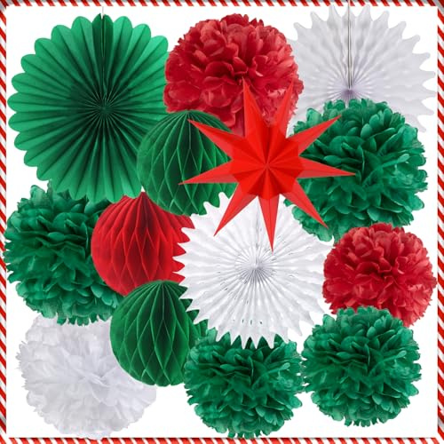 SUNBEAUTY Lot de 14 décorations de Noël en papier - À suspendre - Contient des boules en nid d'abeille - Papier de soie - Pompons en papier - Éventail - Étoile (rouge, vert et blanc)