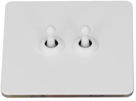 Interruttore a Levetta Parete, Pannello in Acciaio Inossidabile, Base PC Isolata, Interruttore a Levetta Bipolare a 2 Vie a 2 Vie, AC250V, Adatto per Uso Domestico e in