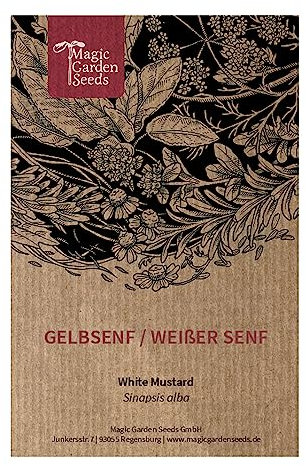 Gelbsenf/Weißer Senf (Sinapsis alba) - ca. 4000 Samen