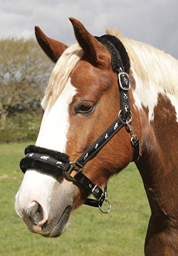 Rhinegold Logo-Halfter mit Fleece-Besatz, Pony, Schwarz