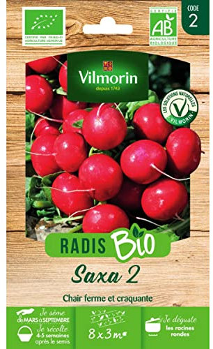 Vilmorin 3889042