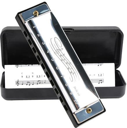 Blues Harmonica in C, Diatonic 10 Holes 20 Tones Mouth Organ Key of C Stainless Steel Mini Blues Harmonica for Kids Adults Beginners and Performers (Silver)