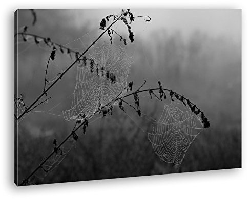 deyoli Atemberaubende Spinnennetze im Tau Format: 80x60 Effekt: Schwarz/Weiß als Leinwandbild, Motiv fertig gerahmt auf Echtholzrahmen, Hochwertiger Digitaldruck mit Rahmen