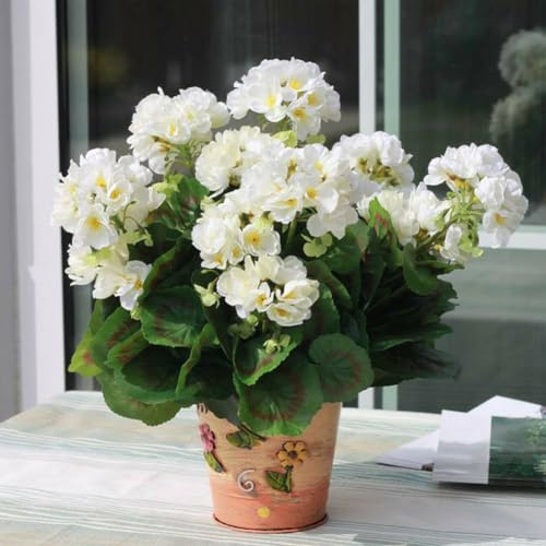 100 Unids Semillas de Pelargonium Geranio Jardín de Flores Balcón Bonsai Maceta Decoración de Plantas Semillas de Jardinería para Plantar Ahora Blanco Semillas de geranio