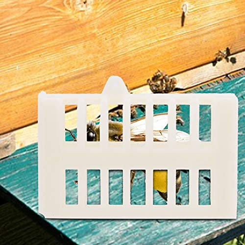 Kunststoff-Bienenkäfig-Foster-Becher für Imkerei-Werkzeuge, Umweltfreundlich, 100 Stück Bienenhaus für Königsbiene – Langlebiger ABS-Kunststoff, Geeignet für Imker