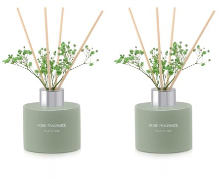 L'odeur Vill rumsdoft Reed diffuser 120 ml × 2, lyxig aromdoft med 12 doftpinnar, långvarig doft för vardagsrum sovrum badrum kontor, (vanilj/vanilj)