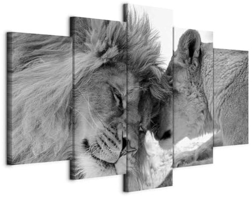 murando - Akustikbild Löwe 100x50 cm 5 tlg - Bilder Akustikschaum Schallschutz Wand Deko Kunst Akustikpaneele Wandpaneele Schalldämmung Wandbild Schallabsorber Akustikplatten Tier Liebe g-B-0034-b-p