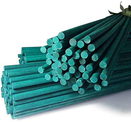 Elixir Gardens Green Split Canes Support Sticks Plant Garden Lily Bulb Flower | 12 inch, 24 inch or 36 inch Lengths | Quantities 10-1000 | 12 x 10