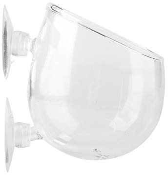 Kristallglas Wasserpflanze Tasse Topflappen Fashionclubs Aquarium Live-Pflanze Glas Anbau Becken Rote Garnelenhalter mit 2 Sauger Aquarium Zubehör | Schräger Aquarium Pflanzenhalter aus Glas mit Saugnäpfen für bessere Lichtabsorption Fördert Photosynthese