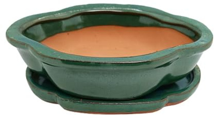 Garden Center shop by VM Tiesto DE CERÁMICA Olea BONSÁI VITRIFICADO 26X22X7CM Plato Incluido (Verde)