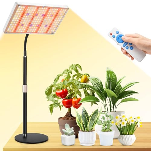 DragonLight Upgrade Desk LED Grow Lights, Full Spectrum Dimmable Grow Light with Remote Control for Greenhouse and Indoor Plant Veg and Flower Growing [Tabletop]