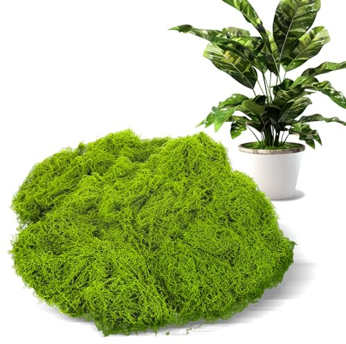 Teaaha künstliches Moos für Deko, Bastelmoos, 100g Kunstmoos zum Dekorieren, ideal für Wanddekoration, Krippen, Aquarium und Modellbau (Hellgrün)