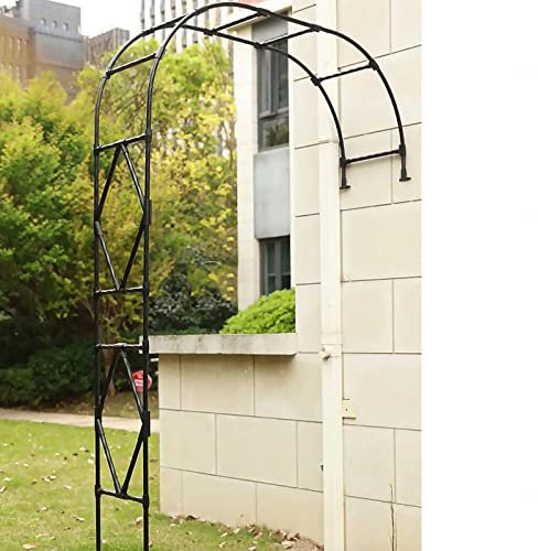 Arche de rose élégante en métal pour décoration de jardin extérieur Demi-arche de jardin pour plantes grimpantes et support d'arbre Noir 240 x 240 cm
