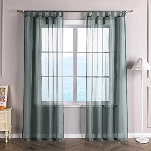 ESLIR Gardinen mit Schlaufen Vorhänge Fensterschal Transparent Schlaufenschal Voile Grau BxH 140x225cm 1 Stück