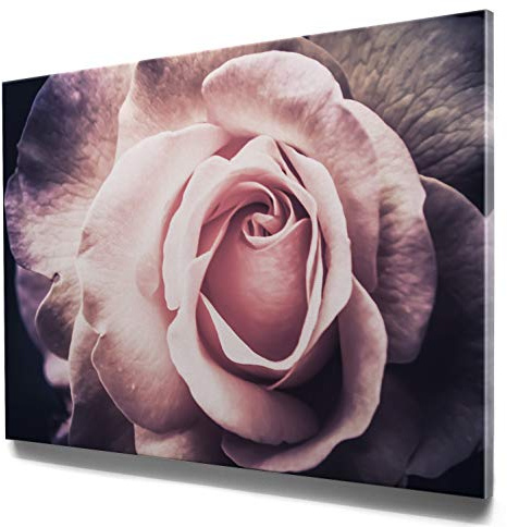BilderKing Rosenbild im Groß-Format 120x80cm, Rosen rosa vintage - als großes XXL Leinwandbild. Wandbild als Hintergrund und Deko für Wohnzimmer & Schlafzimmer. Aufgespannt auf Holzrahmen