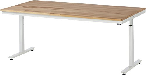 Rau 08 Wt-200-100-B Werktisch Serie Adlatus 300 (Elektrisch Höhenverstellbar), Lichtgrau