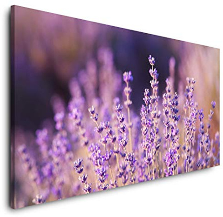 Lavendel Nahaufnahme 120x 60cm Panorama Leinwand Bild XXL Format Wandbilder Wohnzimmer Wohnung Deko Kunstdrucke