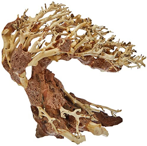 Amtra - Oriental Wind 3 Holz, handgefertigt, für Aquarien, 23X10X17 cm