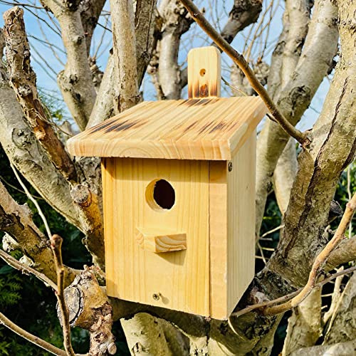 DARLUX Flachdach Nistkasten Brutstätte für kleine Singvögel Holz Natur/Geflammt