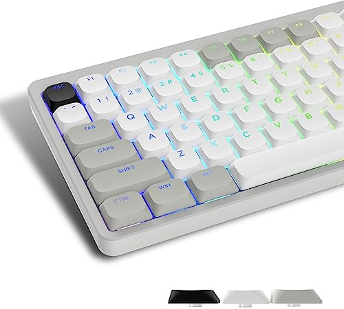 LQXQ Low Profile Keycaps 143, PBT Tastenkappen Shine Through, Hellgrau/Weiß | für ANSI US 60% 65% 75% 80% 100% Cherry Gateron MX Schalter Mechanische Tastatur (ISO Nicht unterstützt)