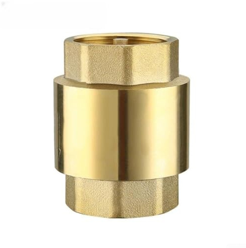 Clapet anti-retour en laiton au design élégant pour une eau potable propre par refoulement, connexion de 2,5 cm (1,9 cm)
