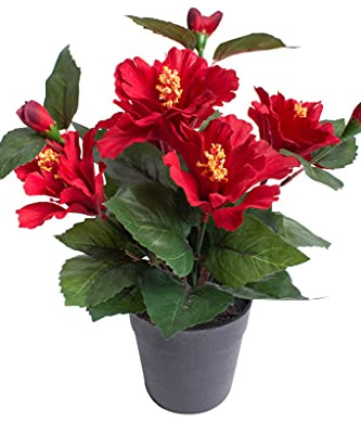 Nova-Nature künstlicher Hibiskus mit 5 Blütenköpfen im schwarzen Kunststofftopf (rot)