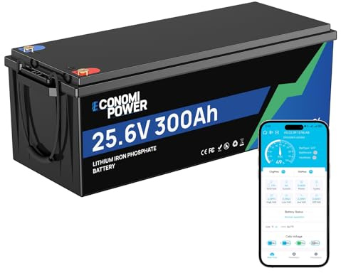 EconomiPower LiFePO4 Batterie 24V 300Ah 7680Wh, 200A BMS, Max 15.000 Ladezyklen, 24V Lithiumbatterie für Wohnmobile, Solaranlagen, Trolling-Motoren und Schiffsanwendungen