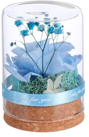 Homoyoyo Rose Éternelle sous Cloche en Verre 6.5x6.5x9cm Ornement De Fleur Immortelle Cadeau Créatif pour Décoration Maison Et Bureau Saint-Valentin Noël