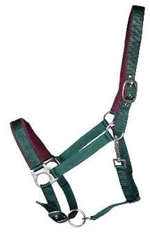 OR S-LINE Halfter Soft-Basic weich unterlegtes Weidenhalfter für Pferde verstellbar, Cob, Pony verfügbar (Grün, Cob)