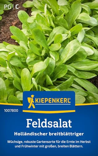 Kiepenkerl Feldsalatsamen Holländischer breitblättriger 1007800 - Salatpflanzen mit großen, breiten Blättern und Inhalt für 10 bis 12 lfd. Meter - Saatgut