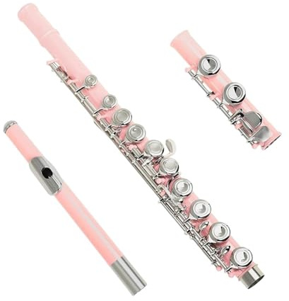 Flöte C Tonart Professionelle Flöte Geschlossenes Loch 16 Löcher Rosa Anfänger Konzert