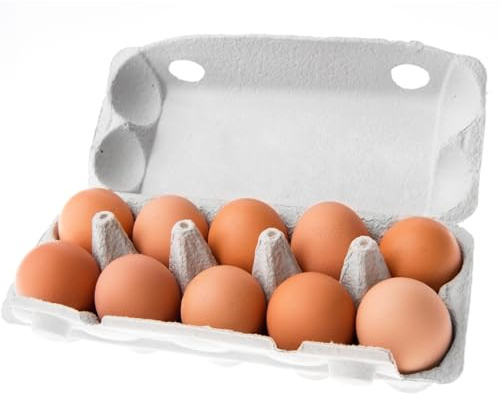 Frische Eier Freilandeier direkt vom Bauernhof 10 Stück Größe M natürlich gefüttert mit Mais und Naturfutter für vollmundigen Geschmack sicher verpackt Hühnereier 580 gramm