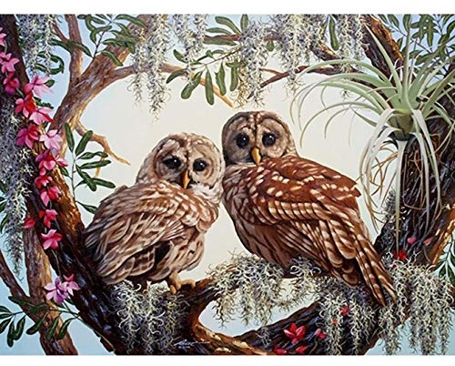 Bimkole DIY 5D Diamond Painting Zubehör Eule, Tier Liebe Diamant Malerei Kit Voll Runde Bohrer Malen nach Zahlen Malerei Stickerei Kreuzstich Diamond Dekoration(30x40 cm)