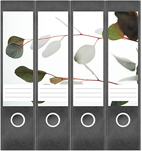 Etiketten für Ordner | Eucalyptus Blätter | 4 breite Aufkleber für Ordnerrücken | Selbstklebende Design Ordneretiketten Rückenschilder