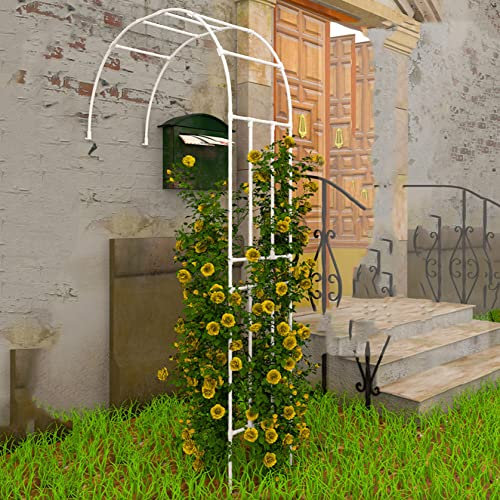 ZYFA Gartenbogen Torbogen Rosenbogen Rosen Garten Pergola aus Metall Rankhilfe Rankgitter Spalier Rosengestell Kletterer Rosenhilfe für Kletterpflanzen,Gartendekoration,Blumen