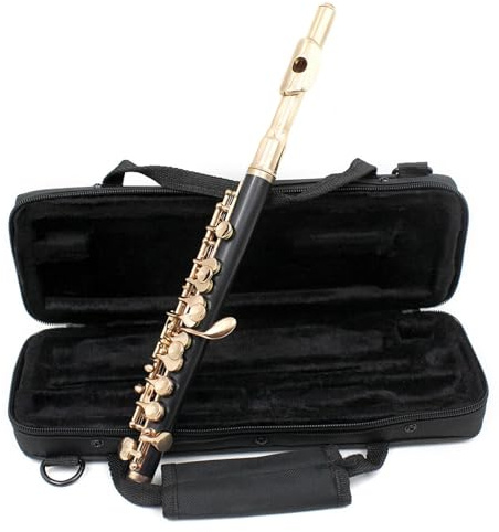 flöte Flöte C-Taste professionelles tragbares Instrument
