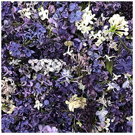 Assorted Lilac Petals - Sale on 15 Cups. Freeze-Dried, Eco-Friendly, Biodegradable. Made in The USA. No Tariffs.