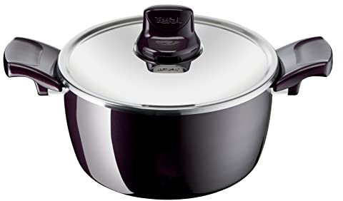 Tefal Resist Intense Faitout avec couvercle en acier inoxydable 24 cm