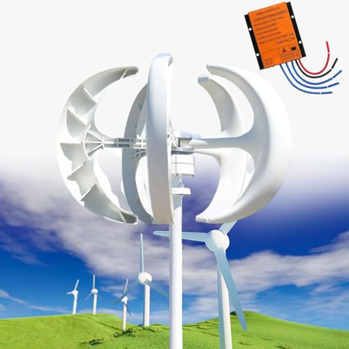 Kit generatore di turbina eolica verticale da 4000 W, 12 V/24 V/48 V, 5 lame, 3 fasi, magnete permanente CA con controller, soluzione efficiente di energia rinnovabile per casa e fattoria