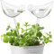 KiKiHome Plant Water Drippers, Glass Plant Waterer Bulbs,Self Watering Globes for Plants,Automatic Irrigation Device for Indoor & Outdoor Plants, 2 Birds