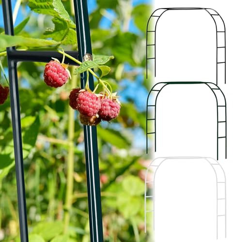 Treillis d'arche de jardin de 3 m pour plantes grimpantes, roses, vignes, pergola de terrasse pour intérieur et extérieur, design extra large pour arrangement de treillis autoportant