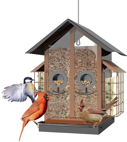 para Aves De Ventana - Suministros para Aves A Prueba De Ardillas Y Resistentes Al Clima - s para Silvestres,para Jardín Balcón Terraza Porche Árbol Valla Ventana Observación Al