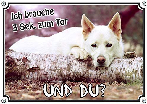 Petsigns Hundeschild Weißer Schweizer Schäferhund - hochwertiges Metallschild - uv-beständig, DIN A5