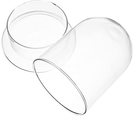 MAGICLULU Kleiner Landschaftsflasche Glasbehälter Transparente Mikro Landschaft Dekorationsflasche Für Zuhause Und Büro