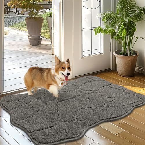 Biscpro Doormat Indoor Soft 50 x 80 cm, Non-Slip Washable Door Mat, Dirt Trapper Mat, Entrance Door Mat, Door Mat for Dogs, Entrance, Front Door, Hallway