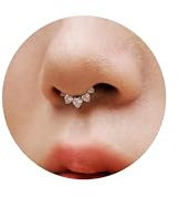 SAWOWGER 16G Titanium Heart Shape CZ Septum Rings Crystal Nose Ring Body Jewelry Daith Earrings Hinged Segment Helix Clicker Seamless Ring Hypoallergenic Jewelry for Her (Gold, 8mm)