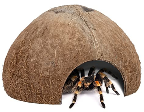 Niteangel 2 Pack Natural Coconut Reptile Hideouts, Lizard, Spider and Aquarium Fish Hide Cave (Natural Surface)